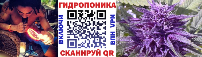 наркошоп  МЕГА как зайти  Бошки Шишки Amnesia  Кинель 
